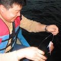 029_海釣-我也釣到了.jpg