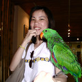 256_博物館-綠鸚鵡好可怕.jpg