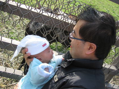 folder.jpg