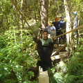 nz20060225-08.33.57.jpg