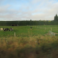 nz20060225-08.45.11.jpg