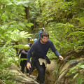 nz20060225-08.46.50.jpg