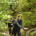 nz20060225-08.47.17.jpg