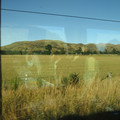 nz20060225-09.20.32.jpg