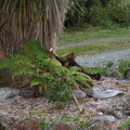 nz20060226-19.50.50.jpg