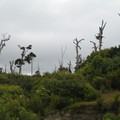 nz20060227-11.03.57.jpg