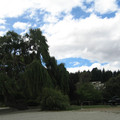 nz20060227-14.37.37.jpg