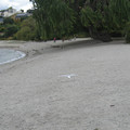 nz20060227-14.37.56.jpg