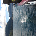 nz20060228-10.12.44.jpg