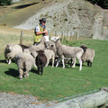 nz20060228-10.49.24.jpg