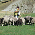 nz20060228-10.49.30.jpg