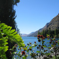 nz20060228-12.18.26.jpg