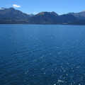 nz20060228-12.56.28.jpg