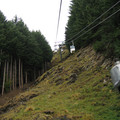 nz20060301-15.01.55.jpg