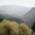 nz20060301-15.25.23.jpg