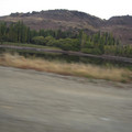 nz20060302-10.19.00.jpg
