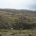 nz20060302-10.25.22.jpg