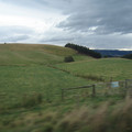 nz20060302-12.17.37.jpg