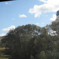 nz20060303-09.57.50.jpg