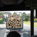 nz20060303-11.14.27.jpg