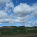 nz20060303-11.49.24.jpg