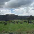 nz20060303-11.50.14.jpg