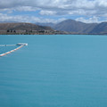 nz20060303-13.59.01.jpg