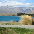 nz20060303-16.15.34.jpg