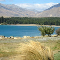 nz20060303-16.15.53.jpg