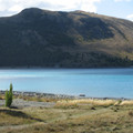 nz20060303-16.59.27.jpg