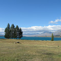 nz20060303-17.10.32.jpg