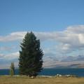 nz20060303-18.28.48.jpg