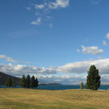nz20060303-18.54.56.jpg