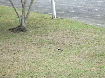 DSCF6089.JPG