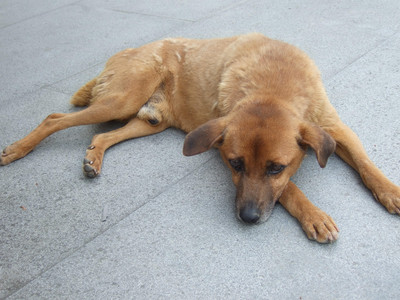 DSCF6138.JPG