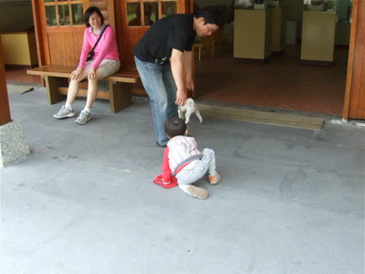 DSCF6161.AVI