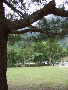 DSCF6184.JPG