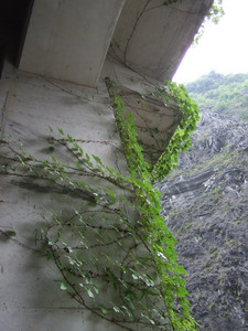 DSCF6200.JPG