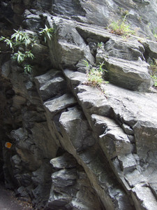 DSCF6202.JPG