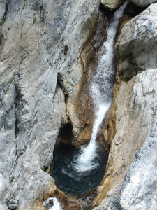 DSCF6247.JPG