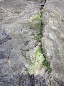 DSCF6255.JPG