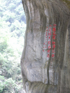 DSCF6256.JPG