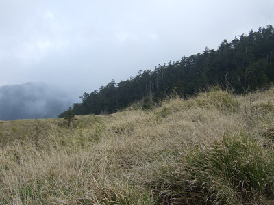 DSCF6271.JPG
