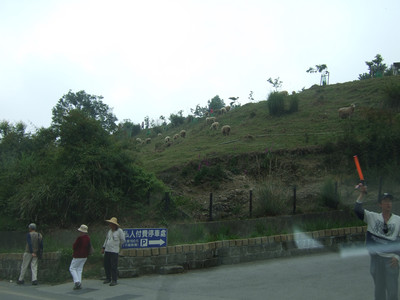 DSCF6279.JPG