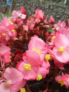 DSCF6368.JPG