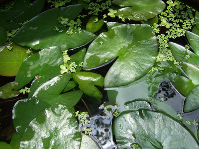 DSCF6416.JPG