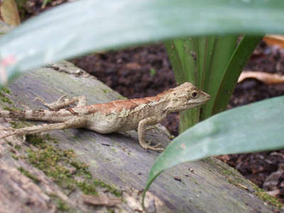 DSCF6419.JPG