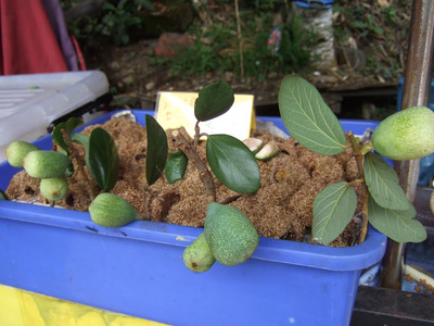 DSCF6437.JPG