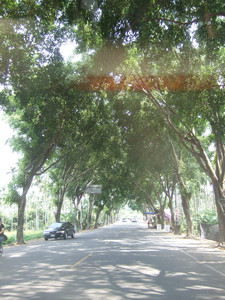 DSCF6440.JPG