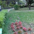 20100306497.jpg
